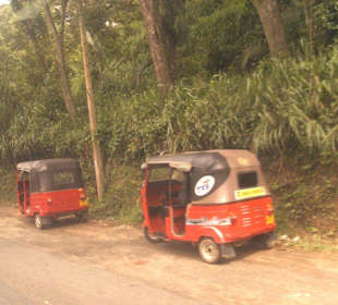 Tuk Tuks