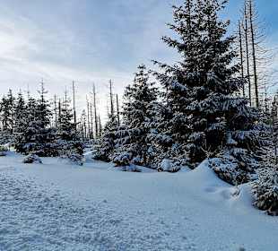 Wandern Bad Harzburg