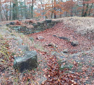 Burgruine Perlenberg in Bann