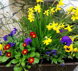 Osterbrunnen Neukirchen am Sand