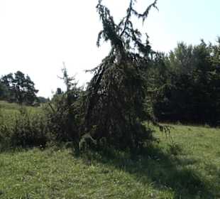 Premiumwanderweg "hochgesprudelt"