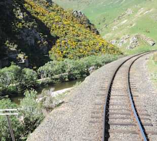 Mit der Taieri Railway durch die Natur Neuselands