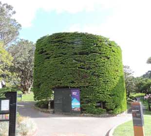 Schön geschnitten, Weg vo der Cable Car