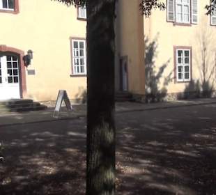 Schloss Molsdorf