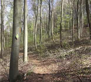 Wanderweg Hochgehkämpft
