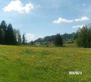 Wandern Grünenbach