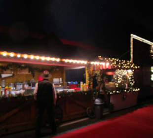 Landauer Weihnachtscircus 2015