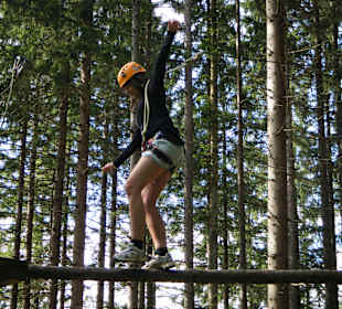 Blauer Parcour, Balancebalken 