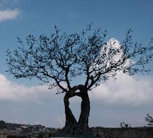 Stadtrundgang Villapiana Lido