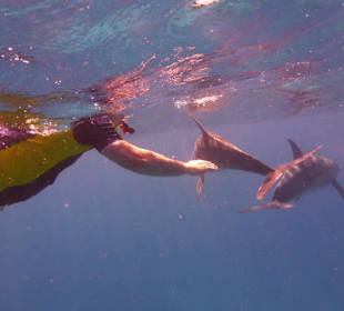 Beobachten, nicht anfassen (aber ganz dicht dran)