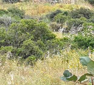 Wandern Sisi