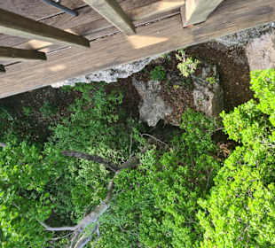 Nicht jeder sollte da runter schauen