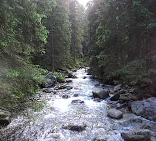 Tatrzański Park Narodowy