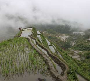 Reisterrassen Banaue