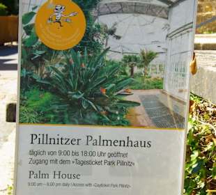 Das Palmenhaus