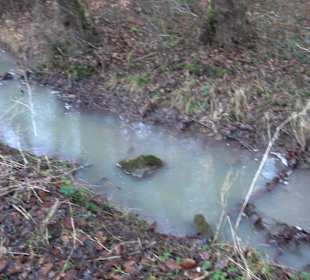 Ochsenweiher Rundweg