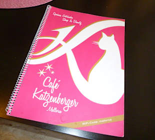 Besuch im Kaffee "Katzenberger"