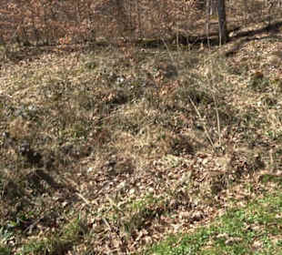 Geologischer Lehrpfad Kirnbachtal