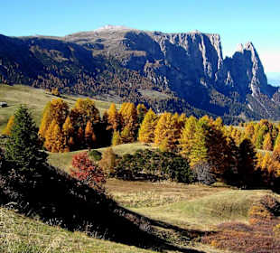 103 - Seiser Alm - Schlern (2515 m)