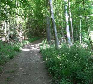 Wanderweg Sieben-Täler-Runde 