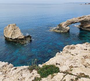 Ayia Napa Bogen Monachus Monachus