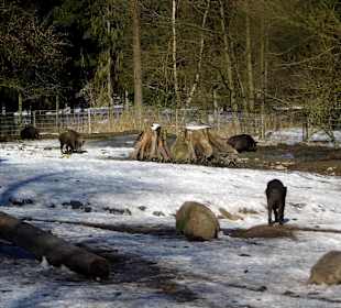 ImpressionOstern2013