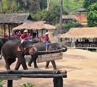 Einzug in die Manege