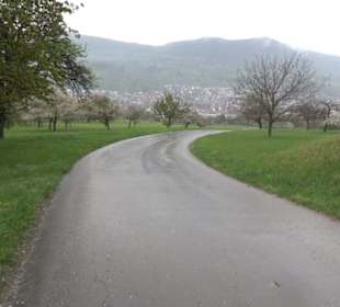 Kirschenweg