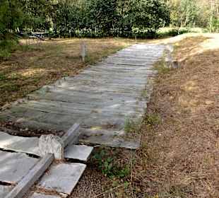 Der rekonstruierte Bohlenweg durch das Moor
