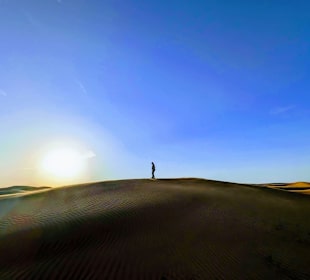 Alleine auf einer Düne