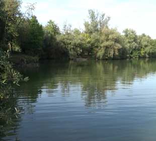 Naherholungsanlage Aileswasensee 