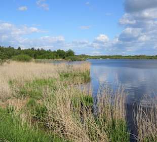 Impressionen vom Bederkesaer See