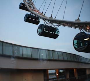 Singapur Flyer, bei Nacht am schönsten.