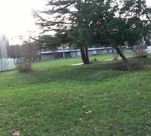 Stadtgarten Stuttgart