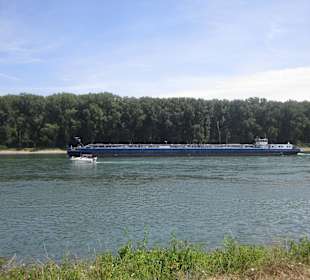 Am Rhein in Germersheim
