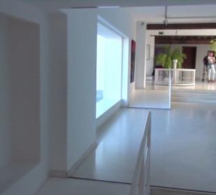 Fundacion Cesar Manrique