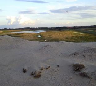 Blick von den Dünen ins Inland