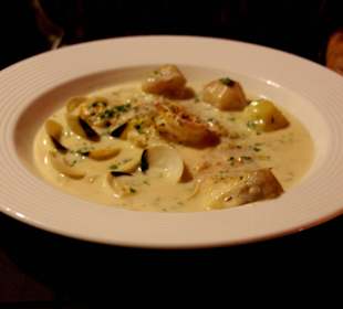 Hai und Miesmuscheln in Weißweintunke