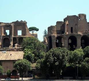 Blick auf das Palatino