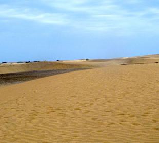 Dünen von Maspalomas