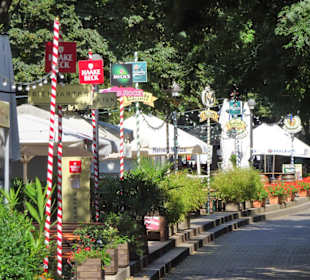 Impressionen von der morgendlichen Schlachte