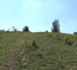 Premiumwanderweg Hochgehschätzt