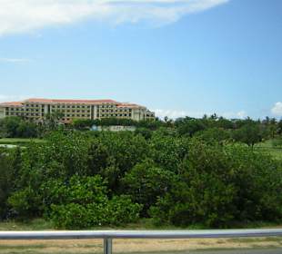 Hopp on Hopp off Tour