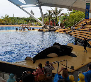 Loro Parque