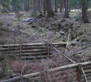 Riesengebirge/Karkonosze