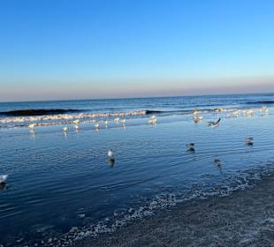 Strand Misdroy/Miedzyzdroje