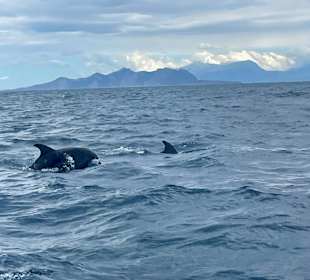 Bootstour Can Picafort