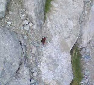 Tatrzański Park Narodowy