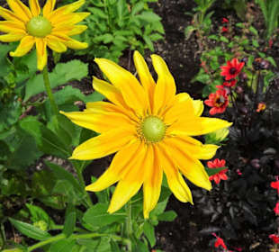 Eindrücke vom Rundgang durch den Park der Gärten