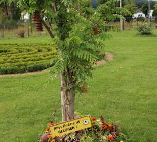 Baumkuchen wächst auf dem Baum...